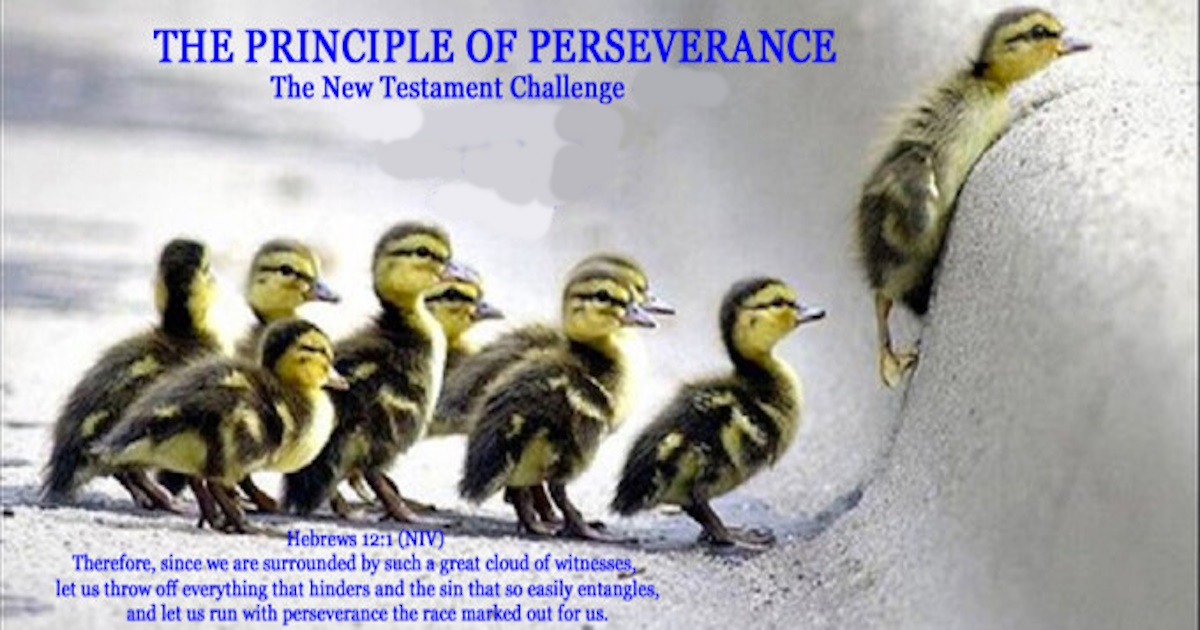 perseverance