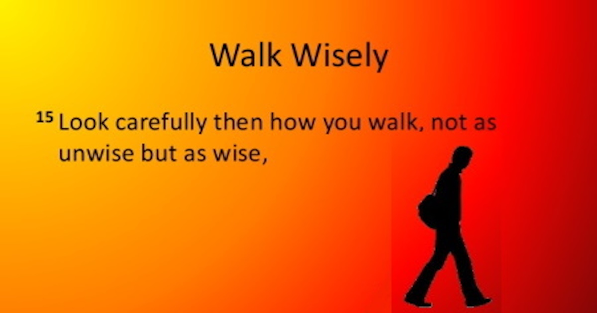 walk_wise_2